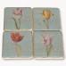 Fairfield Tulip Coasters